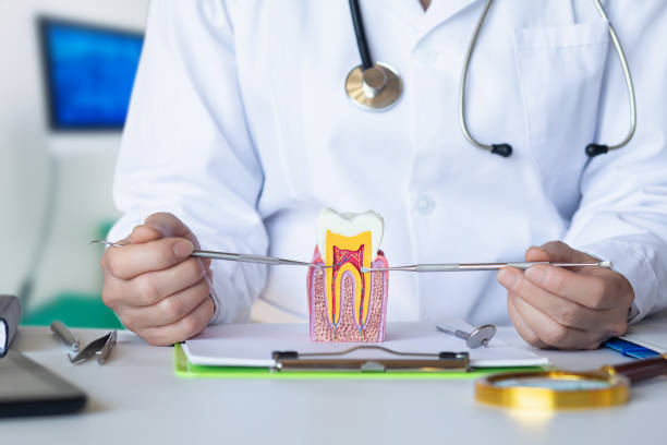 Best Emergency TMJ Treatment in East Village, CT